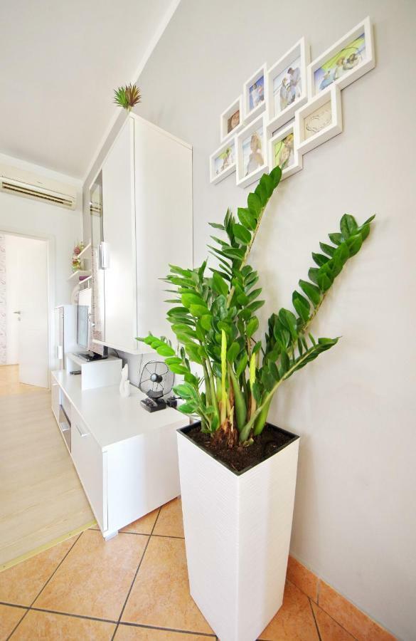 Apartment Paulin Zadar Exteriör bild